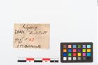 Etikett zu Golddraht (NHMW-PRAE-023688)